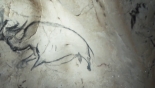 Jaskinia zapomnianych snów: Nosorożec.